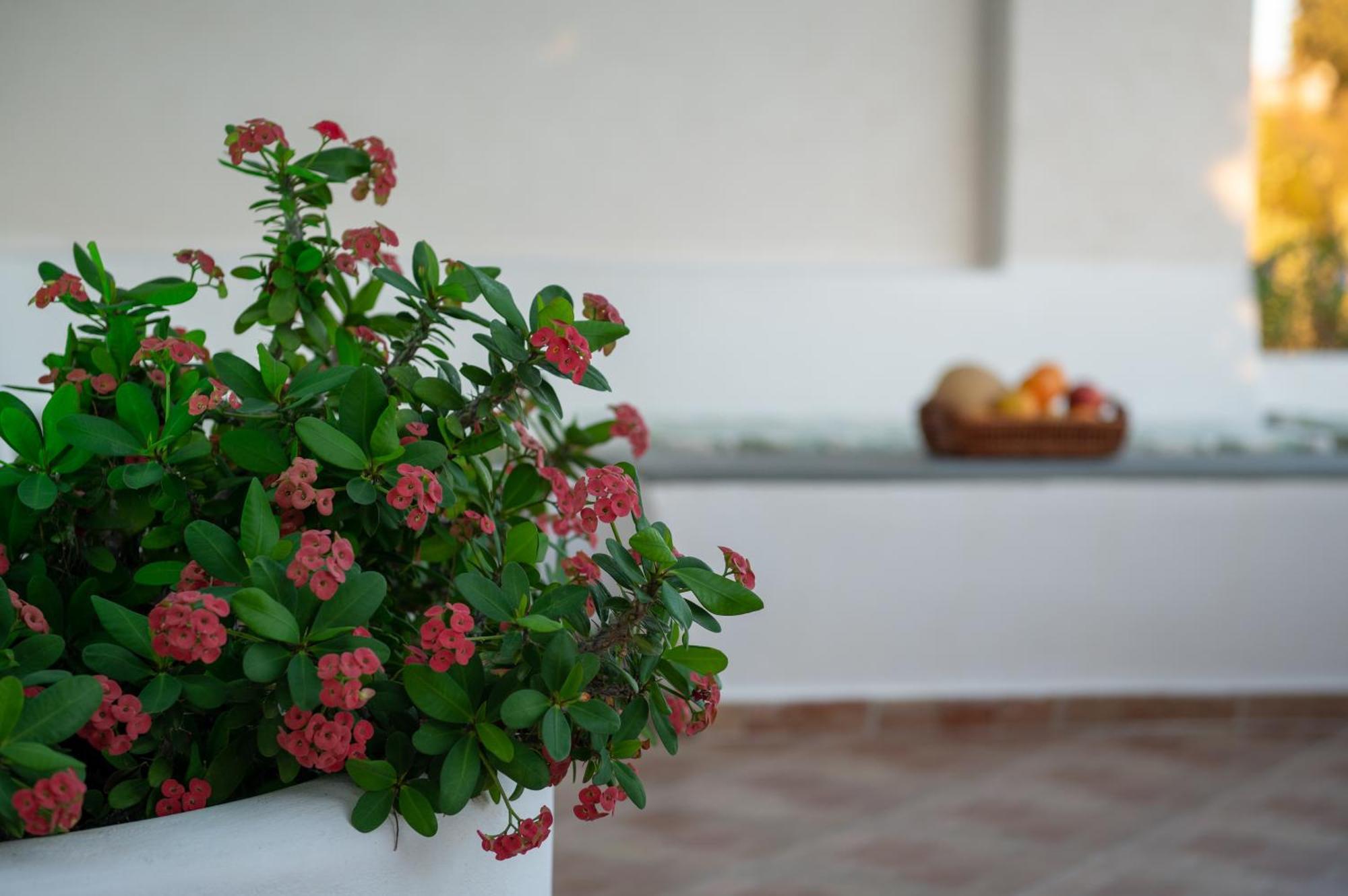 L'Eros Villa Grandma'S House Lakkion Luaran gambar